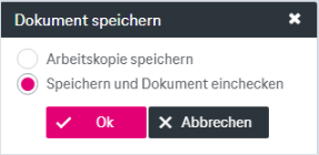 Dialog zum Dokument Speichern mit Optionen