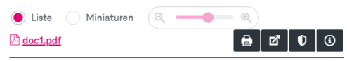 Ein Eintrag zu einem Anhang mit einem PDF Symbol, einem Namen und weiteren Funktionsknöpfen darunter (zum Drucken, Herunterladen oder Öffnen und zum Anzeigen von Informationen)