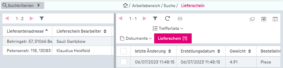 Trefferliste mit Suchergebnissen und Panel auf der linken Seite des Fensters mit den Suchergebnissen gruppiert nach den in der Liste angeordneten Attributen