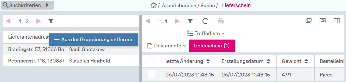 Trefferliste mit Suchergebnissen und Panel auf der linken Seite des Fensters mit den Suchergebnissen gruppiert nach den in der Liste angeordneten Attributen