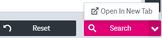 Reset  and search buttons with expanded menu with the option to open search in a  new window