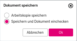 Dialog zum Dokument Speichern mit Optionen