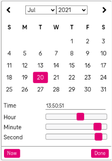 Calendar where you can choose a month and a year and any day of this month on top, and additonally you can choose hour, minute and second in the bottom, and you can set the current date by a button