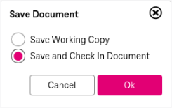Dialog to save document with options